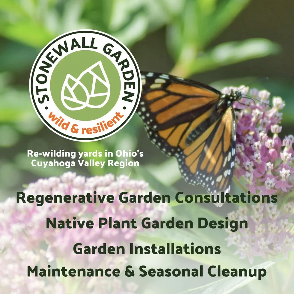 Affordable residential landscaping experts serving Cuyahoga Falls, OH - Stonewall Garden
