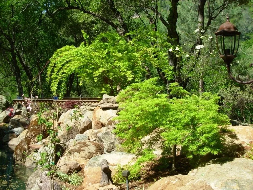 Expert landscaping services experts serving Meadow vista, CA - Stonewall Landscape