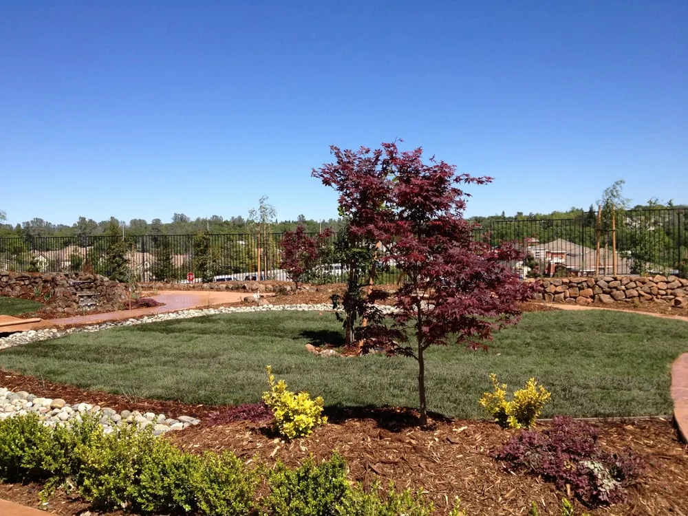Top-rated landscape design for beautiful yards in Meadow vista, CA by Stonewall Landscape