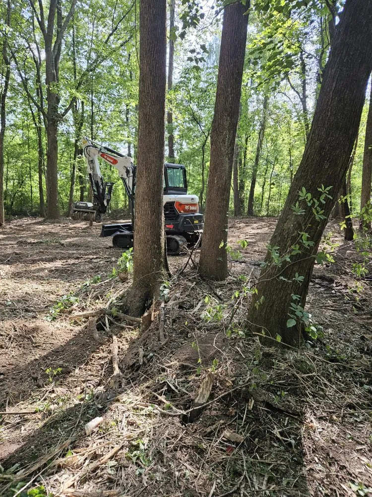 Affordable yard cleanup service in Ringgold, GA - StoneworxPro