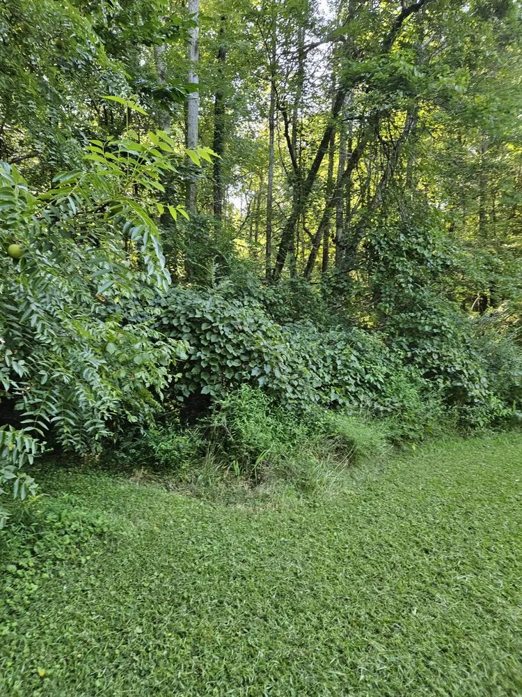 Reliable outdoor landscaping experts serving Ringgold, GA - StoneworxPro