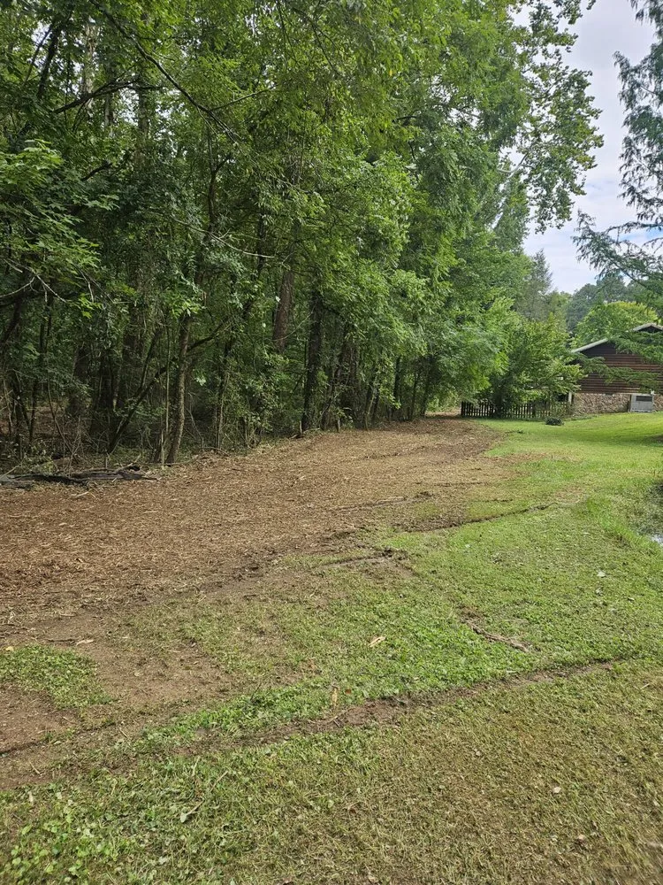 Expert yard cleanup service near you in Ringgold, GA by StoneworxPro