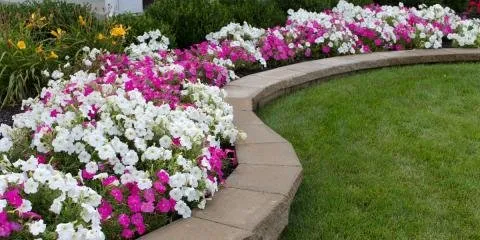 Affordable outdoor landscaping experts serving Greensboro, NC - Stoney Creek Landscaping Management