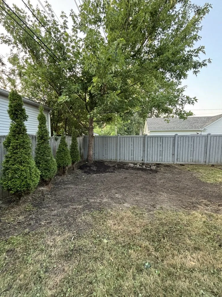 Reliable yard cleanup service in West Seneca, NY - Stoney Lawn Care