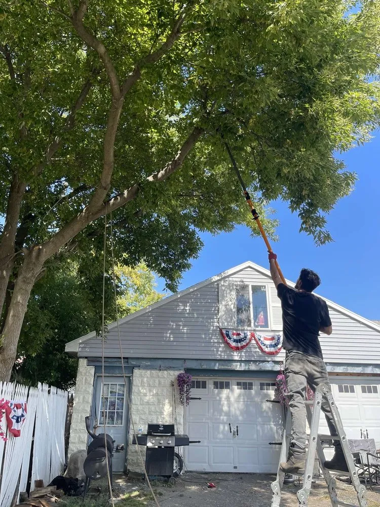 Local yard cleanup service for outdoor upgrades in West Seneca, NY by Stoney Lawn Care