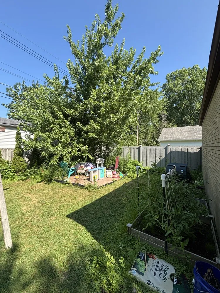 Local yard maintenance experts serving West Seneca, NY - Stoney Lawn Care