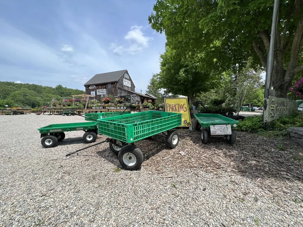 Reliable residential landscaping in Mystic, CT - Stonington Gardens