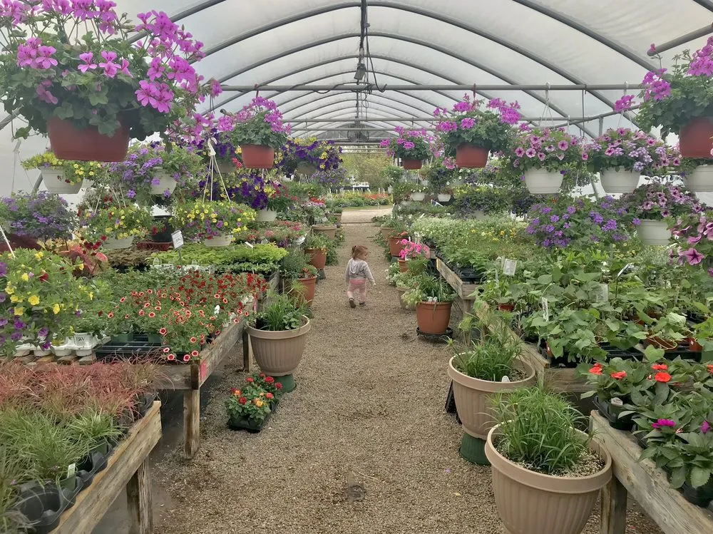 Trusted lawn care service for beautiful yards across Mystic, CT - Stonington Gardens