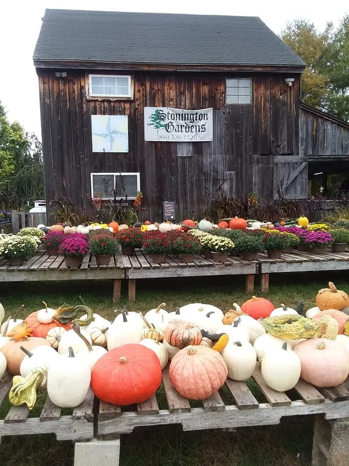 Expert garden landscaping for beautiful yards in Mystic, CT by Stonington Gardens