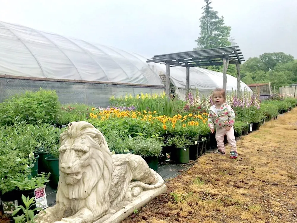 Professional landscape installation in Mystic, CT - Stonington Gardens