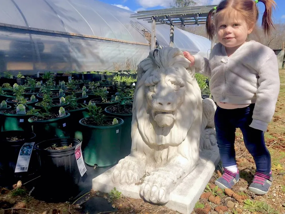 Trusted landscape design in Mystic, CT - Stonington Gardens