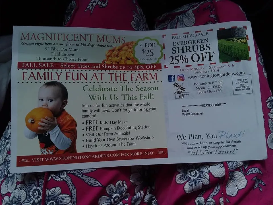 Reliable residential landscaping in Mystic, CT - Stonington Gardens