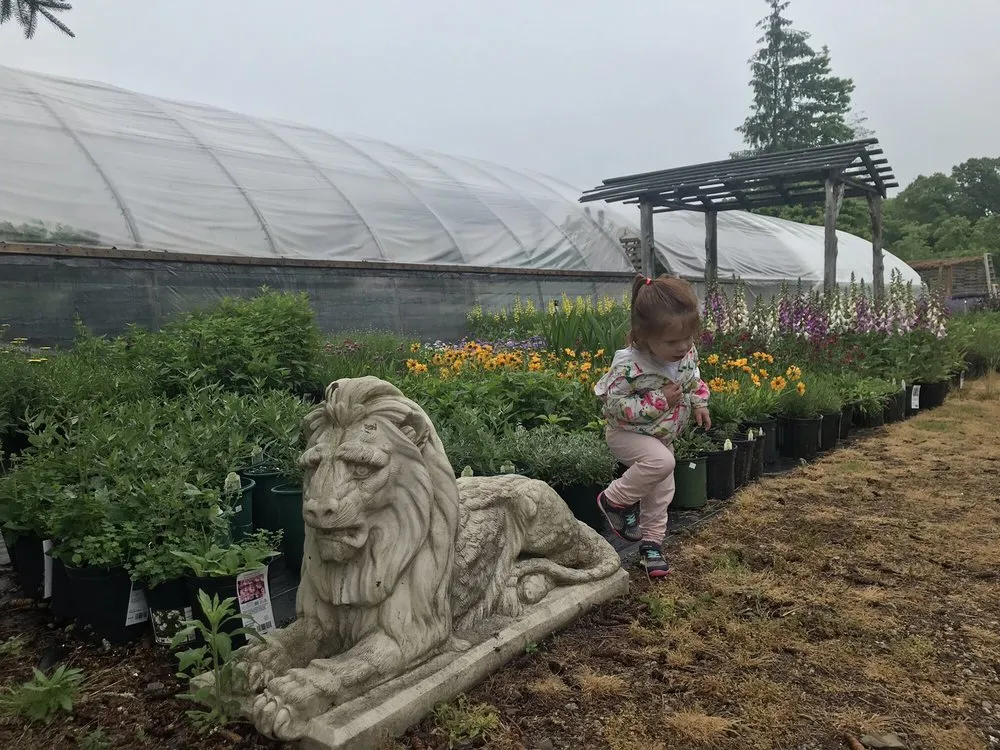 Expert landscape installation in Mystic, CT by Stonington Gardens