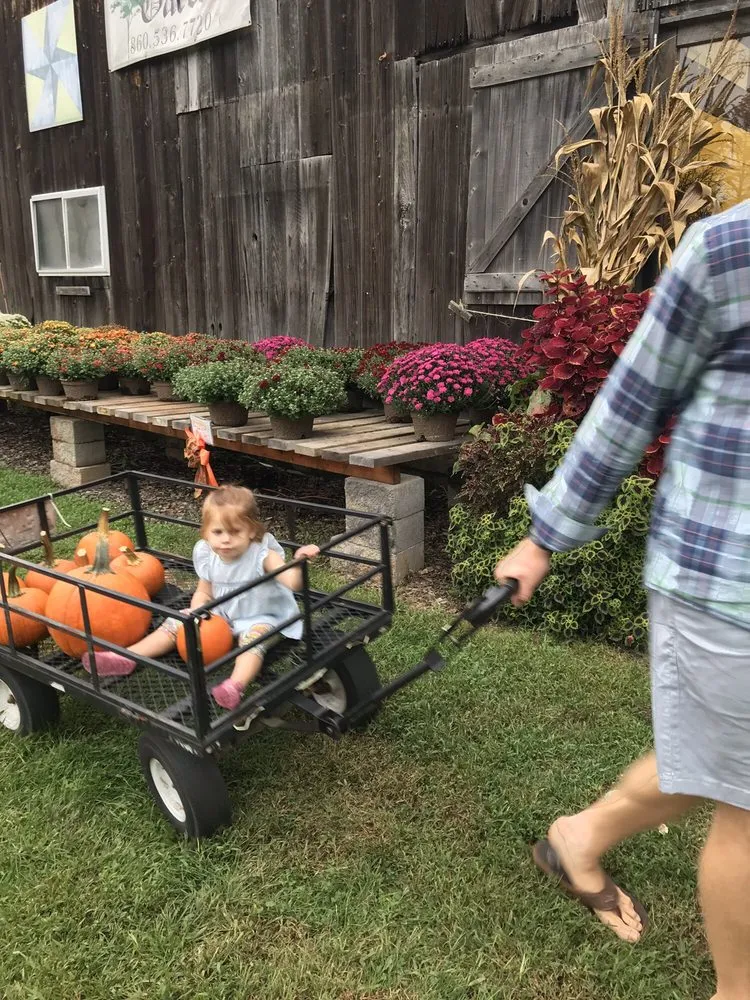 Expert outdoor landscaping in Mystic, CT by Stonington Gardens