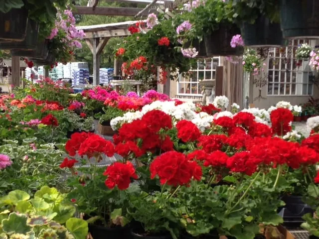 Trusted landscape installation experts serving Pennington, NJ - Stony Brook Gardens