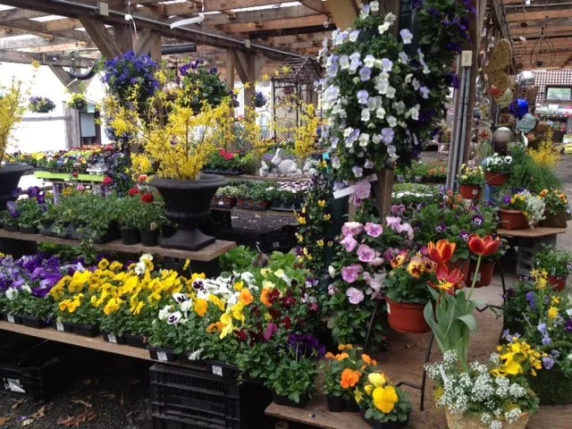 Professional landscape installation in Pennington, NJ by Stony Brook Gardens