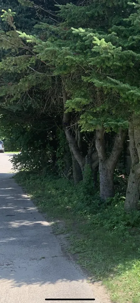 Trusted landscape installation for beautiful yards across Bethel, CT - Stony Hill Landscaping