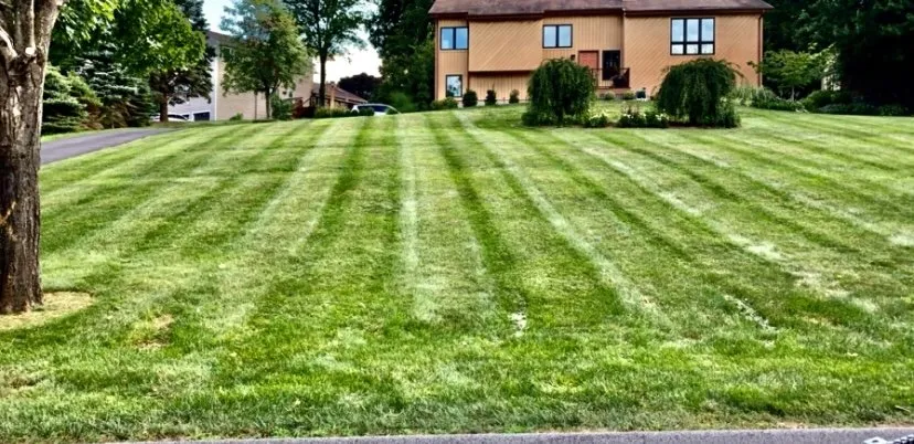 Professional yard cleanup service for homes in Bethel, CT by Stony Hill Landscaping