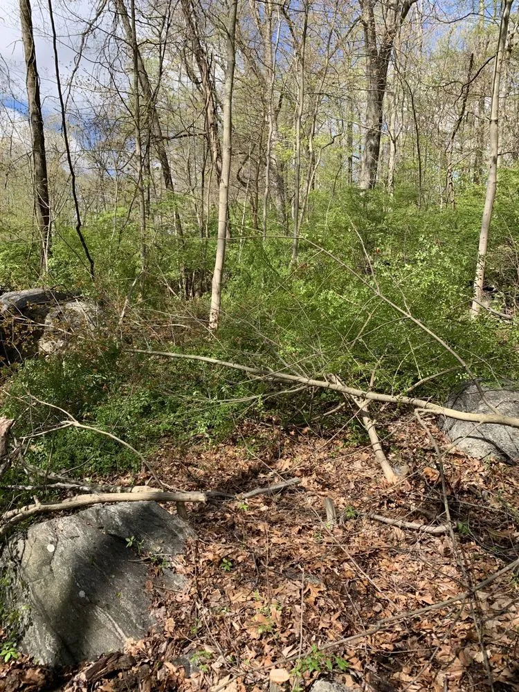 Custom landscaping services for year-round maintenance in Bethel, CT by Stony Hill Landscaping