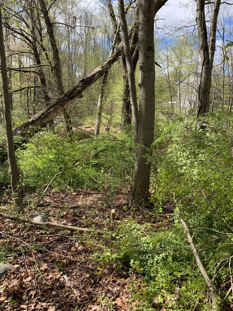 Expert outdoor landscaping in Bethel, CT by Stony Hill Landscaping