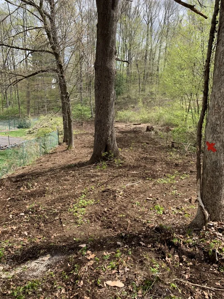 Local garden landscaping in Bethel, CT - Stony Hill Landscaping