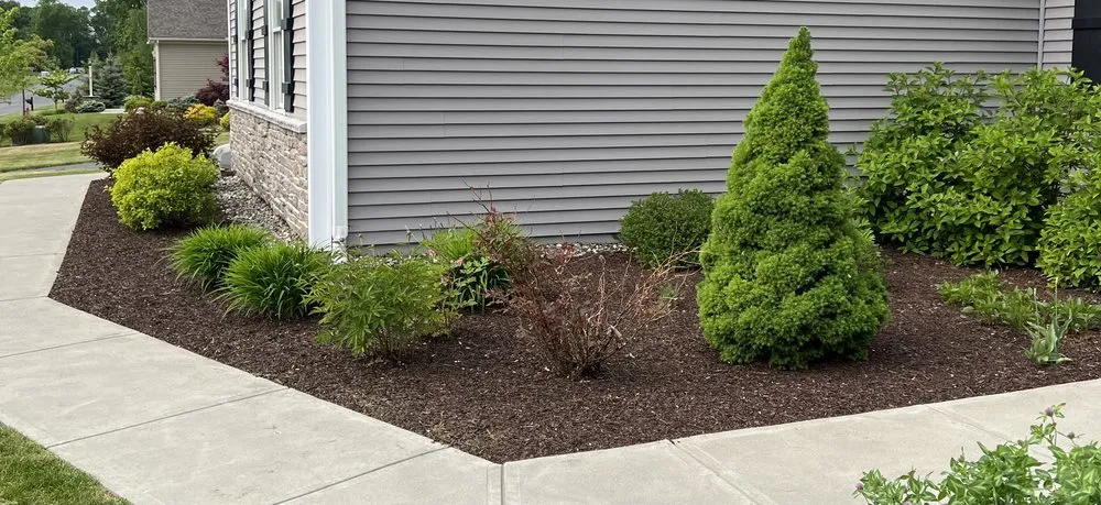 Expert landscaping services in Delmar, NY - Stony Hill Landscaping