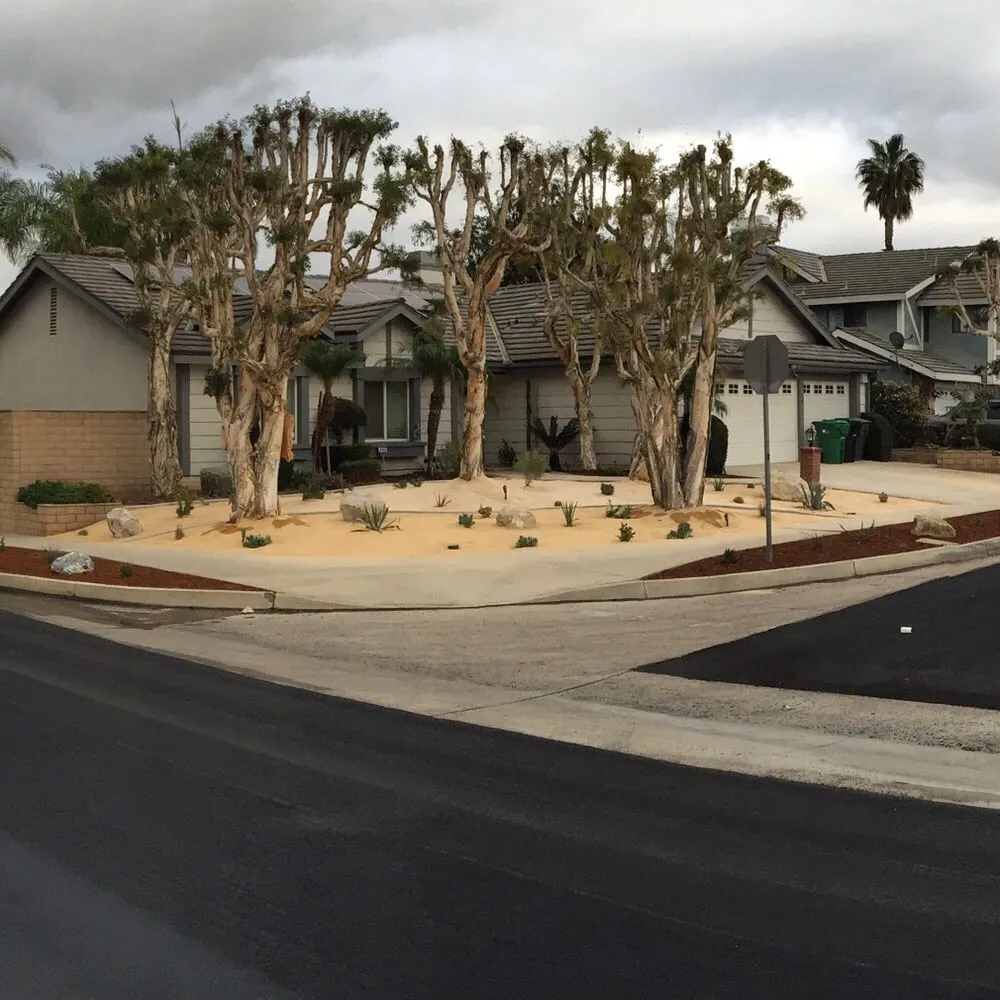 Expert landscaping services for homes in Corona, CA by Stop the Drop Landscape Designs