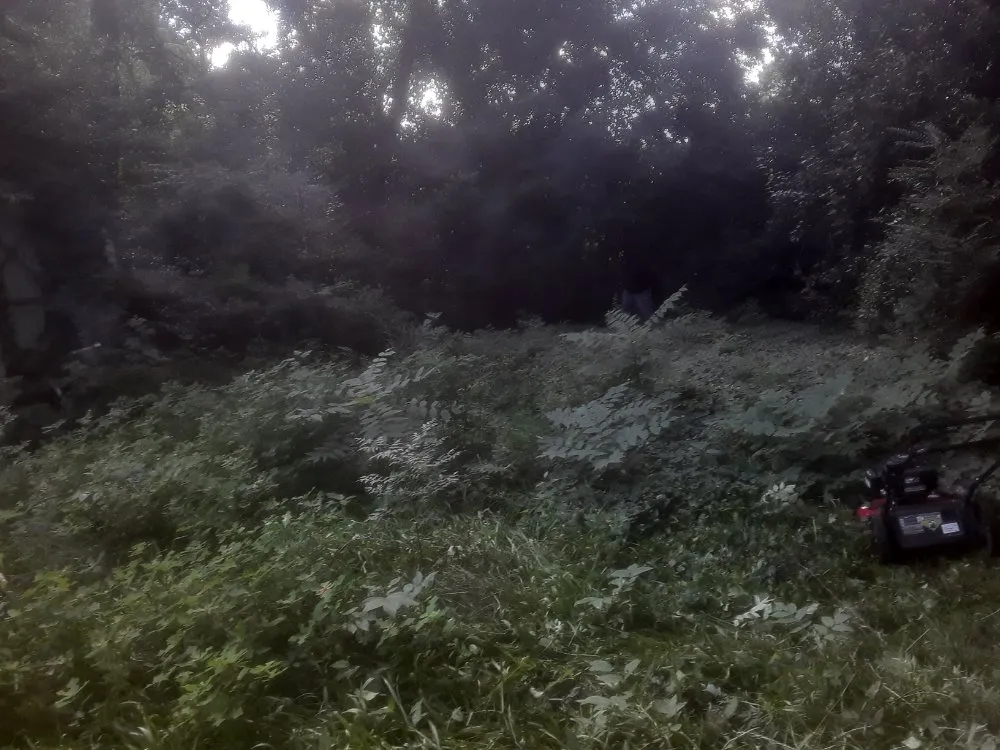 Trusted landscaping services in Fayetteville, NC - Stop Us Enterprise