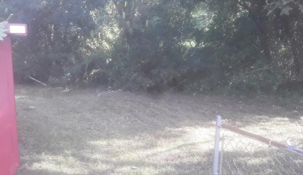 Professional landscape design in Fayetteville, NC - Stop Us Enterprise