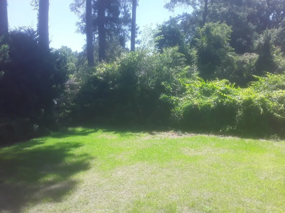 Affordable garden landscaping in Fayetteville, NC by Stop Us Enterprise