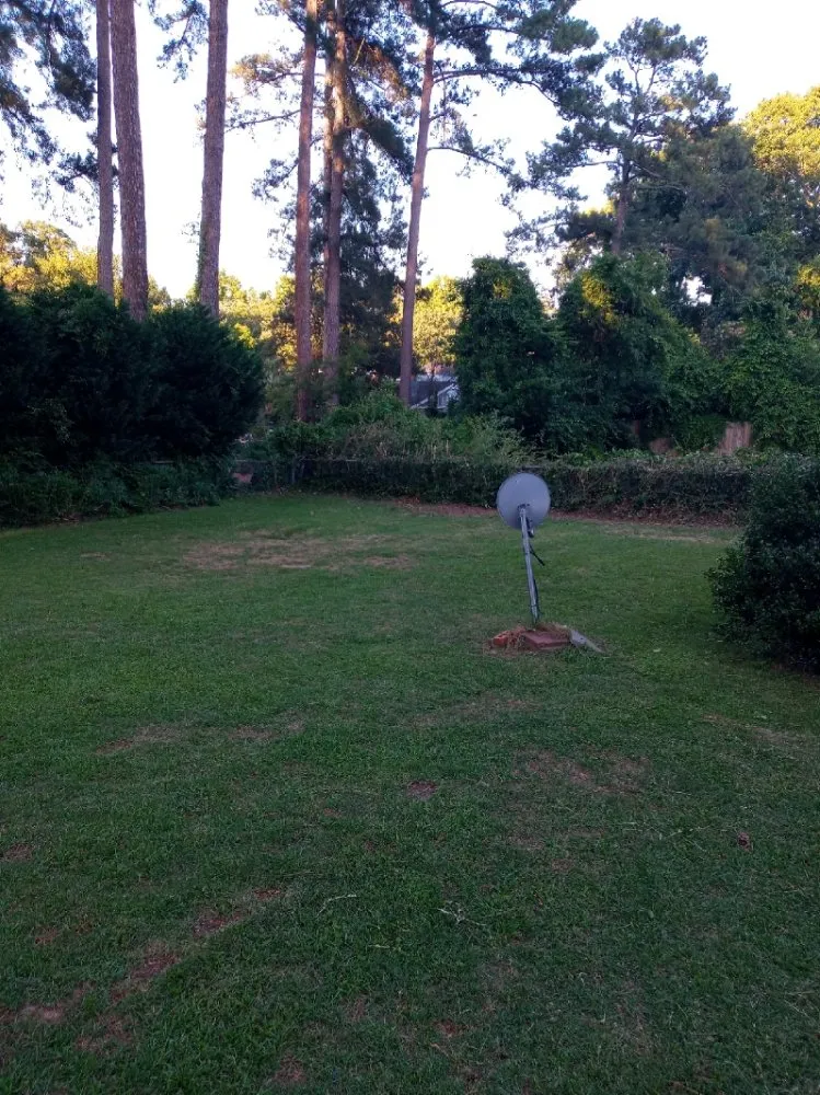 Reliable lawn care service for outdoor upgrades across Fayetteville, NC - Stop Us Enterprise