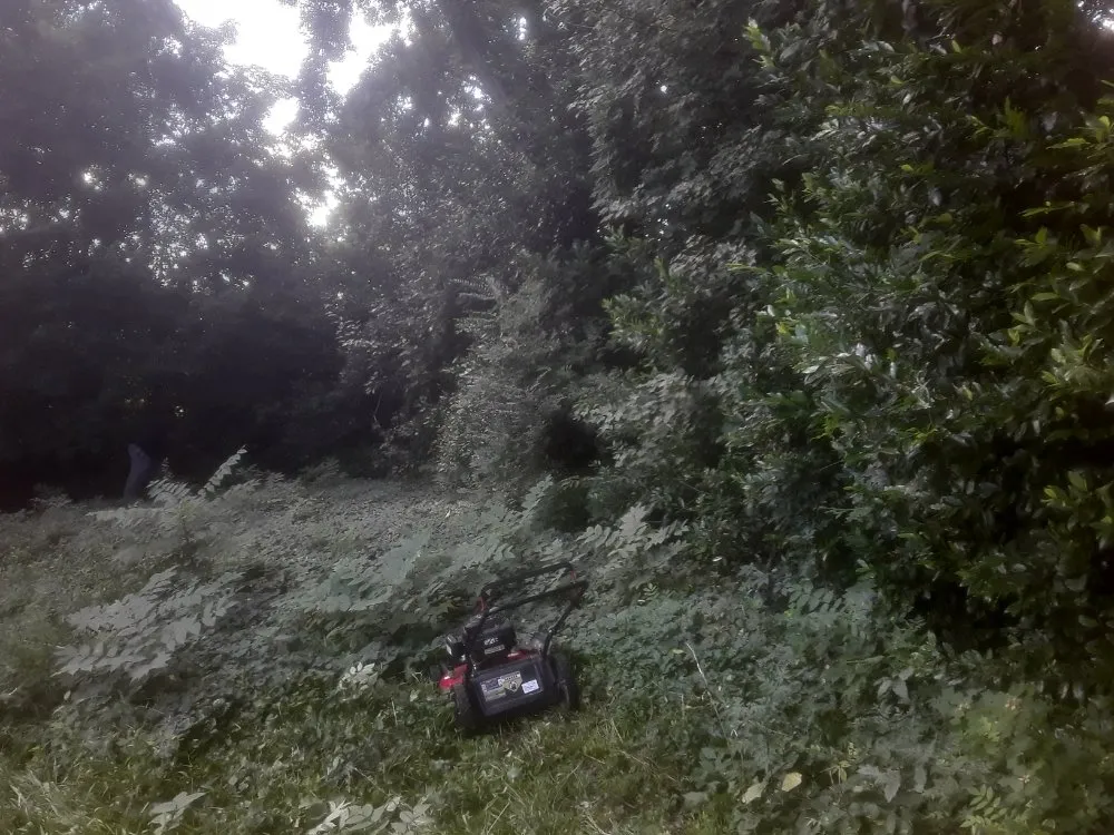 Custom landscaping services for year-round maintenance in Fayetteville, NC by Stop Us Enterprise