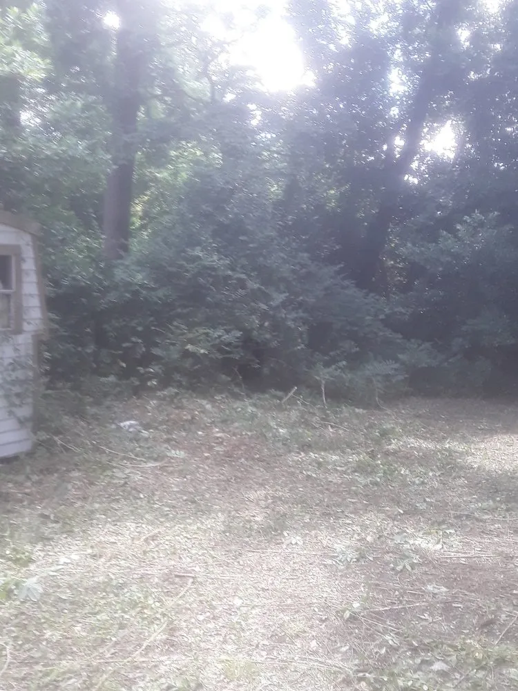 Local yard maintenance near you across Fayetteville, NC - Stop Us Enterprise