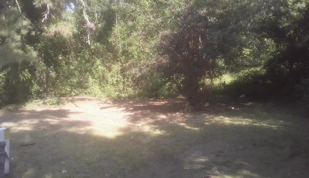 Professional yard cleanup service near you in Fayetteville, NC by Stop Us Enterprise