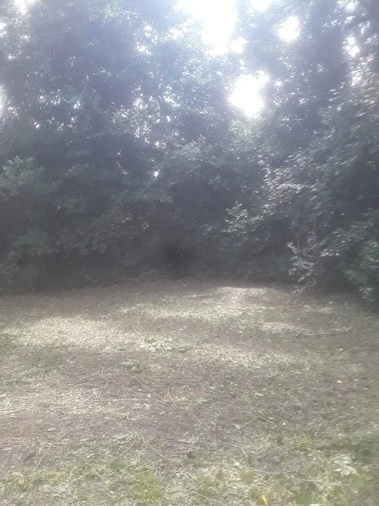 Trusted residential landscaping experts serving Fayetteville, NC - Stop Us Enterprise