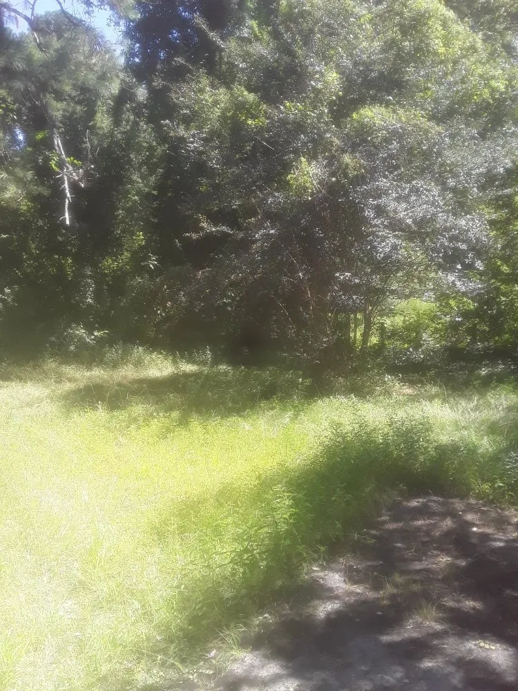 Custom yard cleanup service in Fayetteville, NC - Stop Us Enterprise