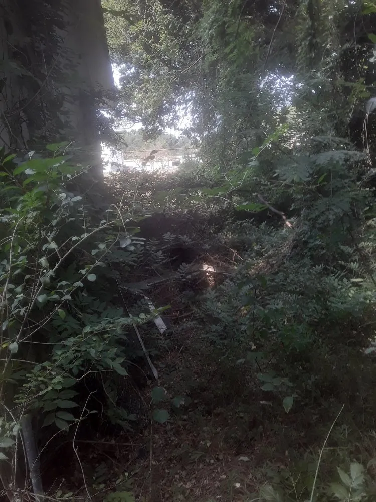 Trusted garden landscaping in Fayetteville, NC by Stop Us Enterprise