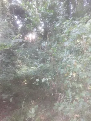 Stop Us Enterprise Logo