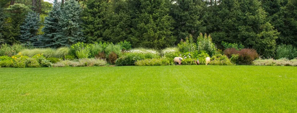 Professional lawn care service with custom design across Easton, CT - Stopa's Landscaping