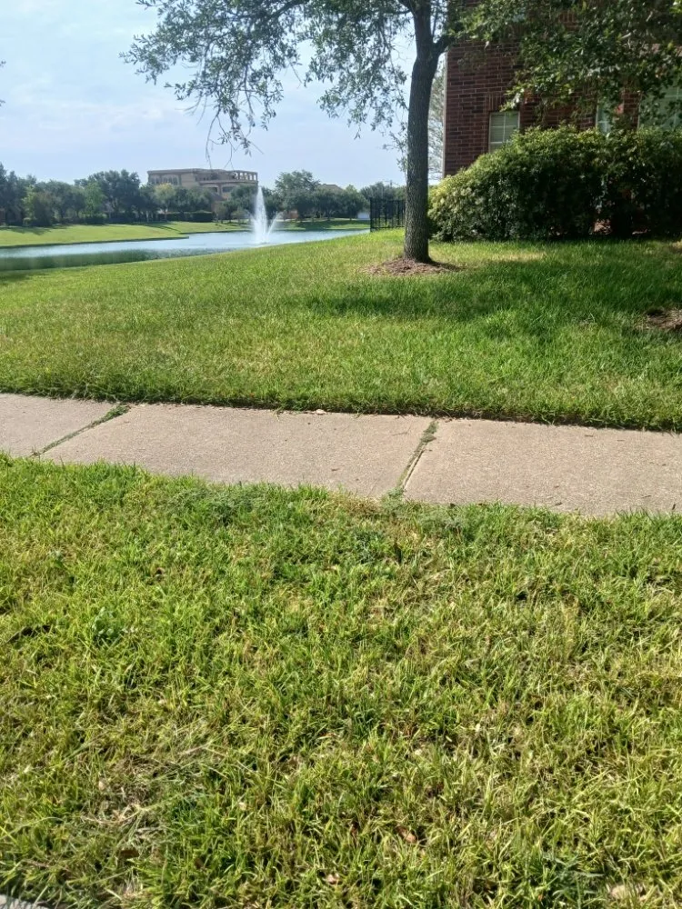 Local outdoor landscaping for homes in Pearland, TX by Storage Solutions Subsidiary Services