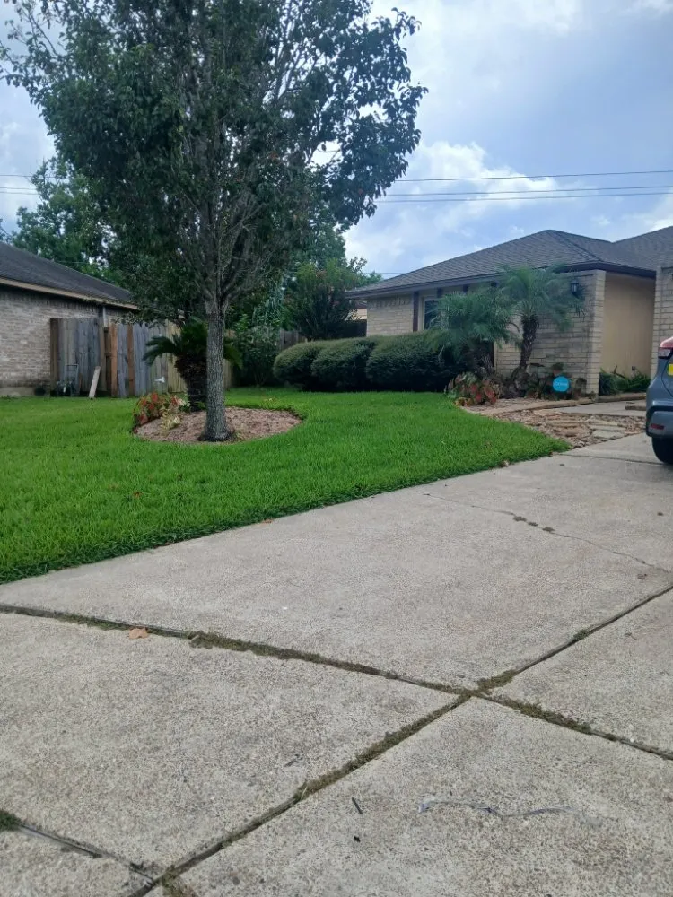 Top-rated garden landscaping in Pearland, TX - Storage Solutions Subsidiary Services