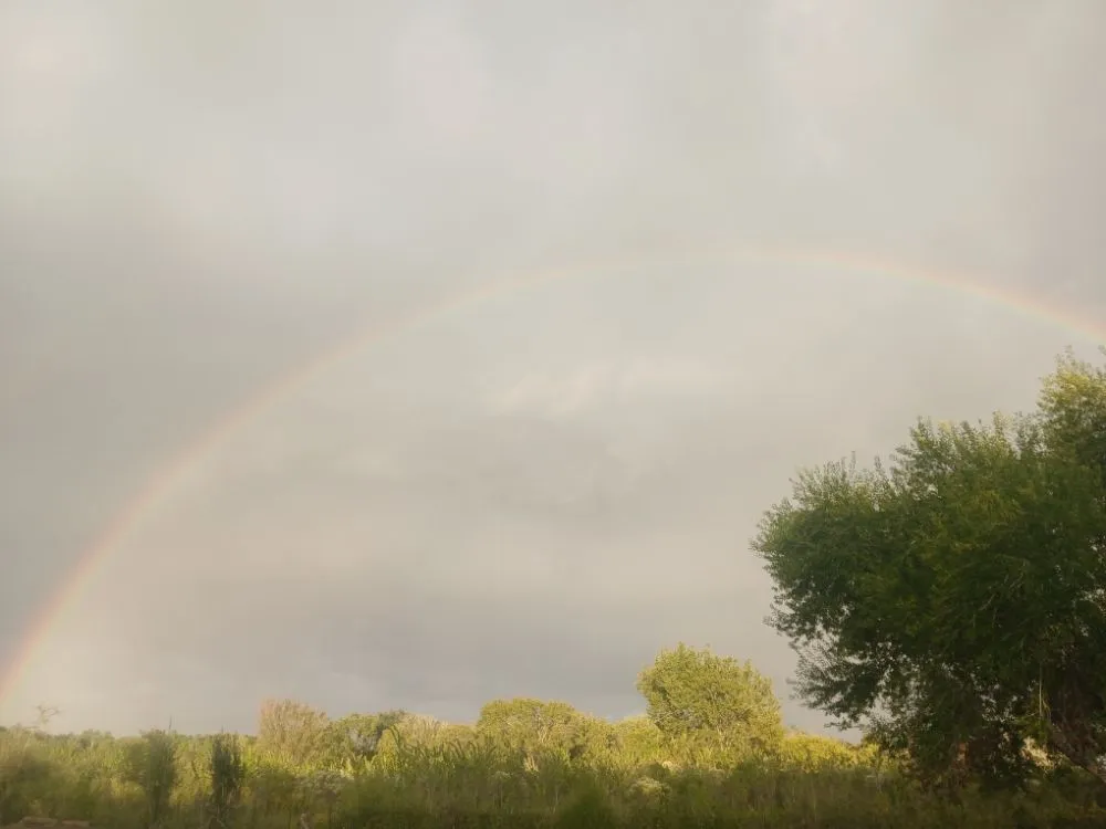 Trusted garden landscaping for residential properties across Pearland, TX - Storage Solutions Subsidiary Services