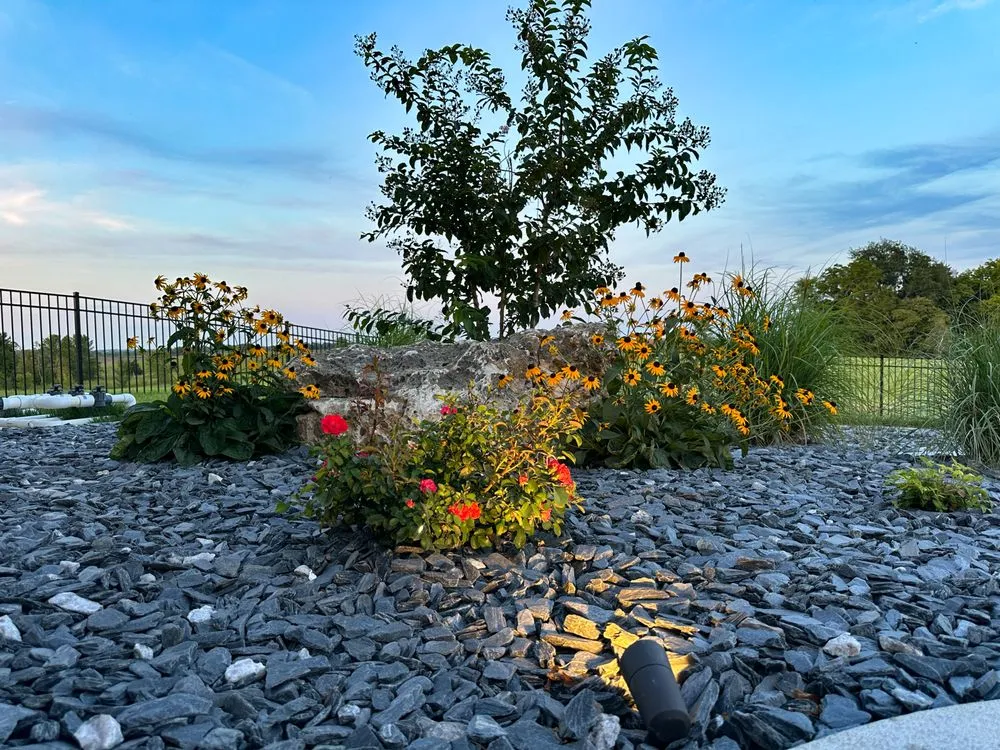 Professional yard maintenance experts serving Cape Girardeau, MO - Stork Landscaping