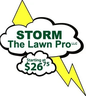 Professional lawn care service in Reedsville, WI - Storm the Lawn Pro