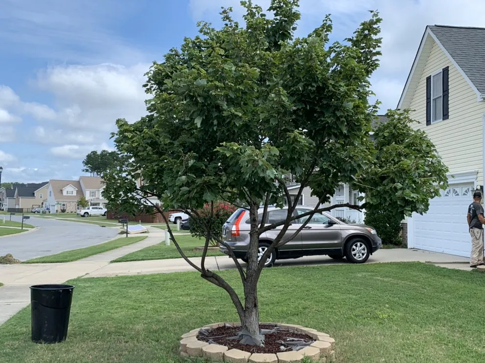 Professional yard maintenance with custom design across Greenville, NC - Stormin’ Norman Lawn & Landscping