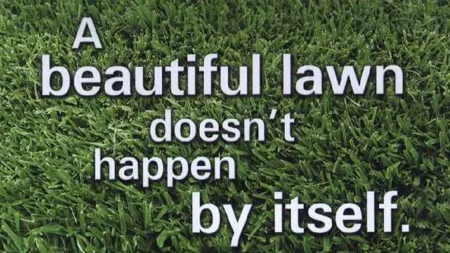 Reliable yard cleanup service experts serving Omaha, NE - Storms Lawn Care