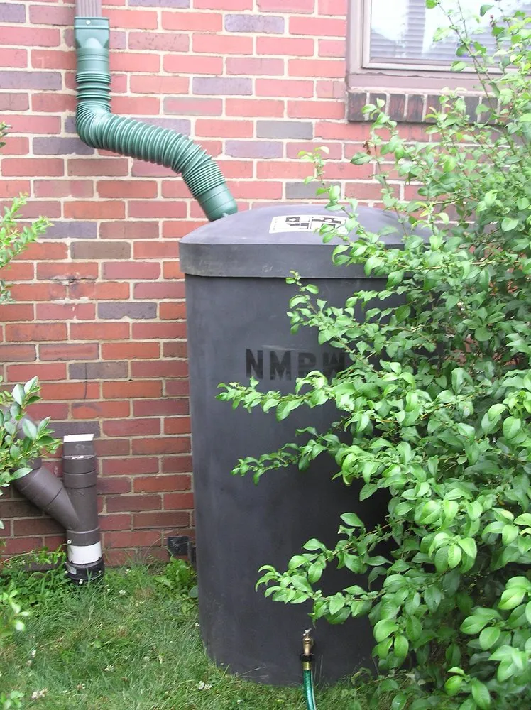 Top-rated landscape installation for year-round maintenance across Pittsburgh, PA - StormWorks