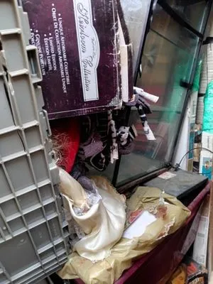 Stormy Does It All Logo