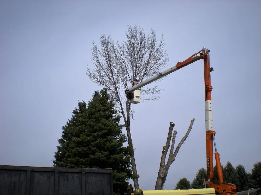 Custom landscaping services near you across Moses Lake, WA - Storwick & Hope Tree and Landscape Professionals