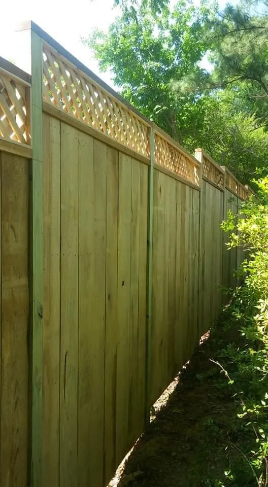 Expert outdoor landscaping for beautiful yards in Memphis, TN by Story Works